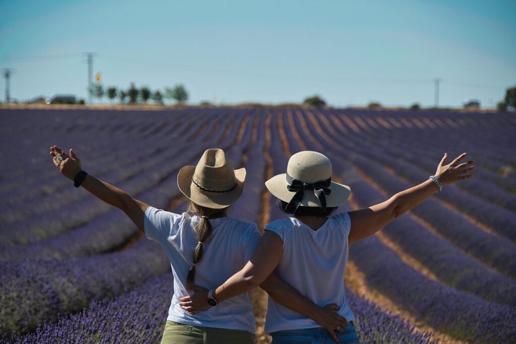 women, lavender, nature, guadalajara, brihuega, landscape, field, cultivation, encina, lavandula angustifolia