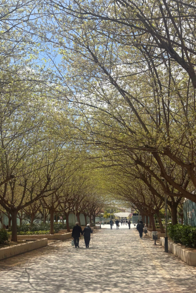 palma parc ses estacions