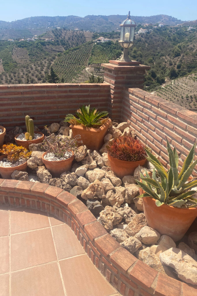 plants northern luxury
