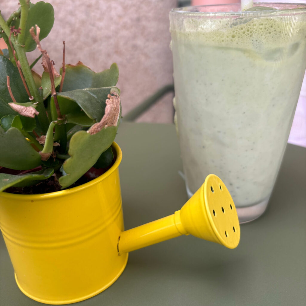 Iced Matcha from Bizcake