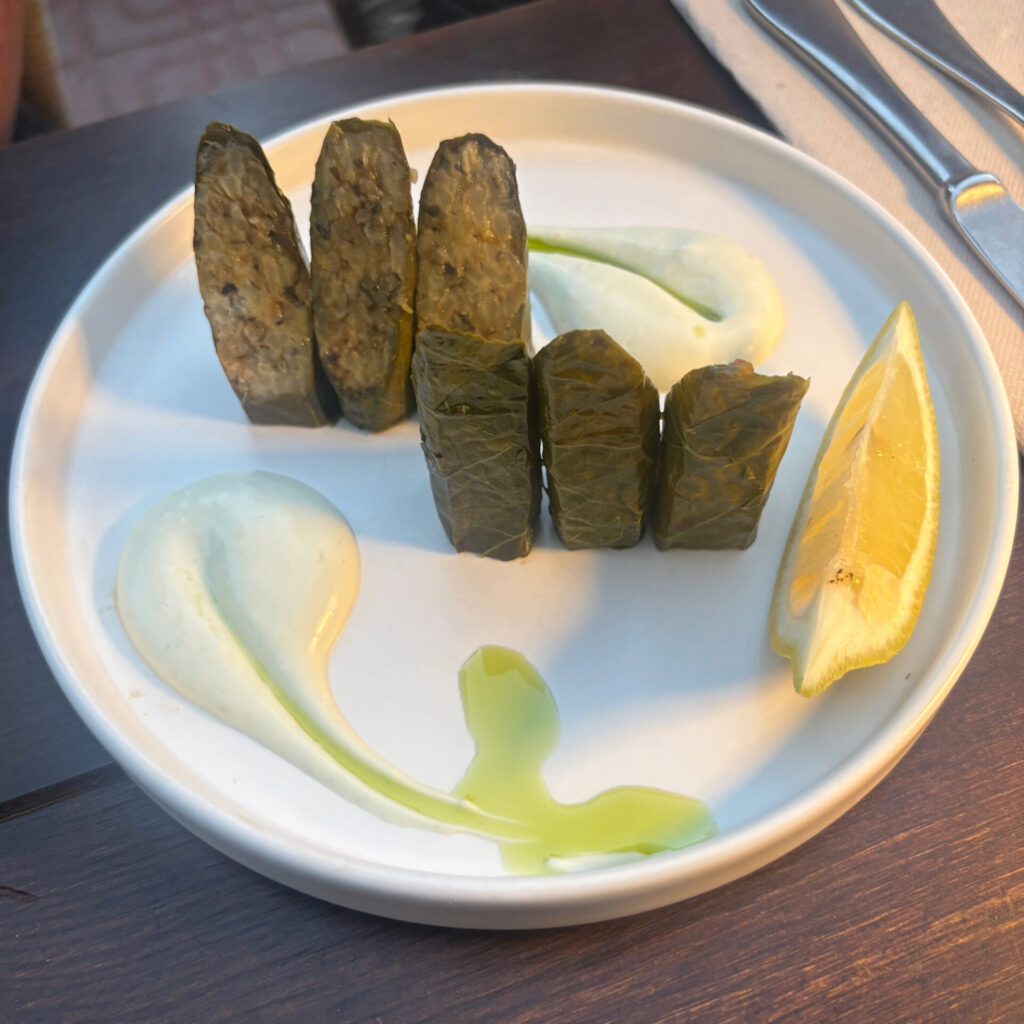 Dolmadakia Aragma Ibiza