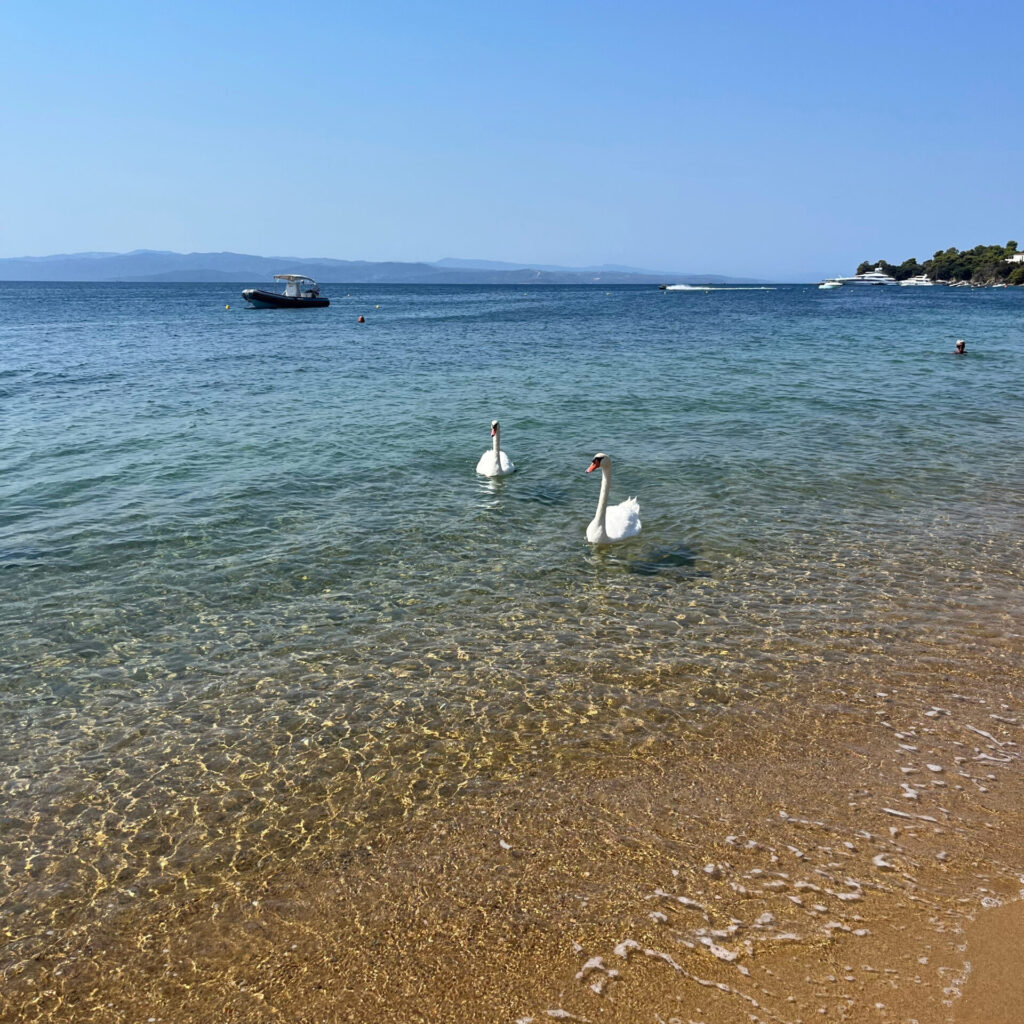 koukounaries beach skiathos