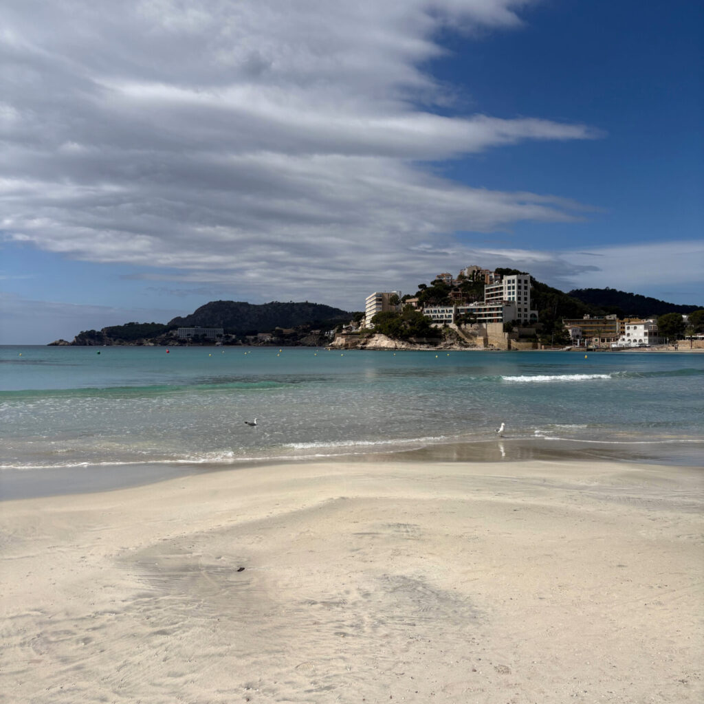palmira beach peguera