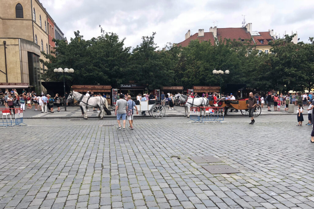 Horse-Drawn Carriages in the Old Town Square
