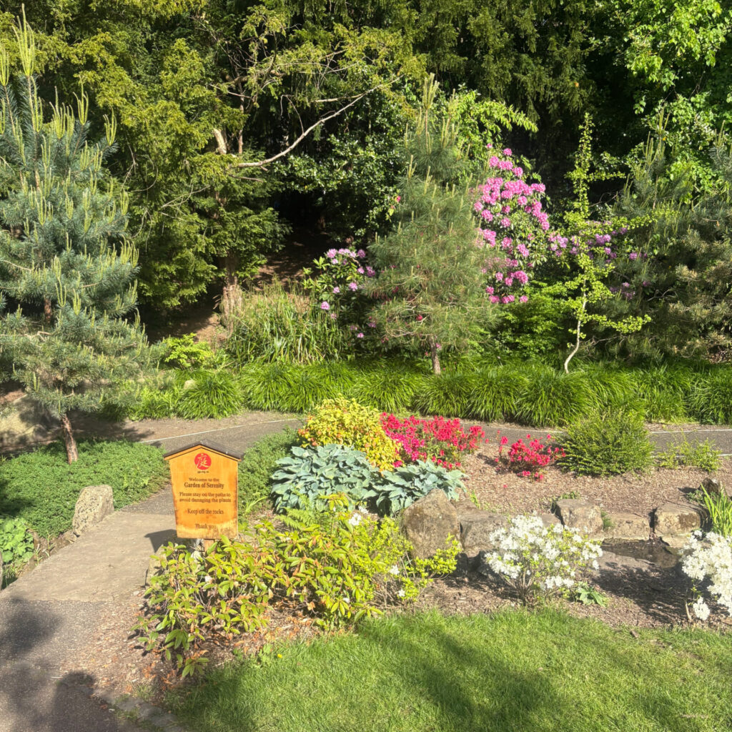 Garden of Serenity
