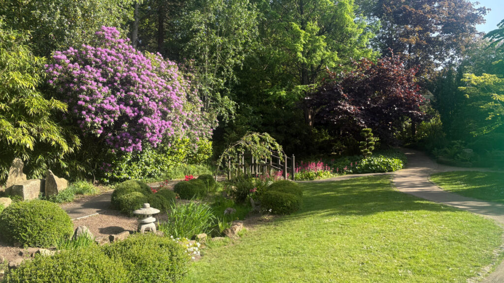 Valley Gardens Harrogate