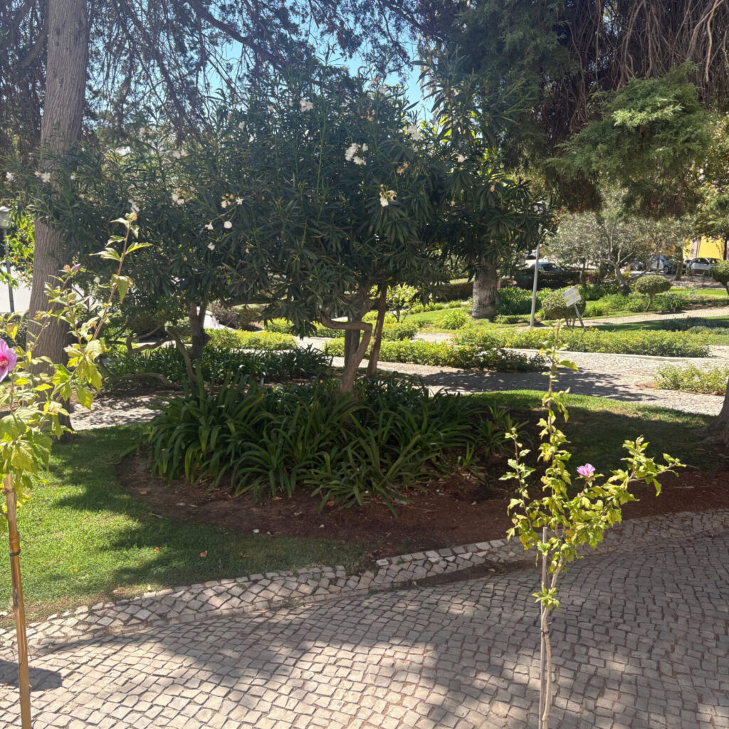 Tavira Castle Gardens